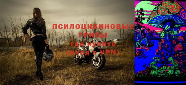 не бодяженный Алексин