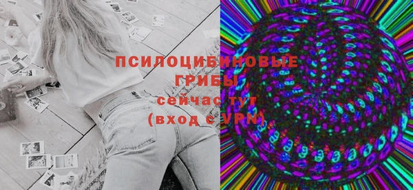 не бодяженный Алексин