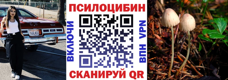 Псилоцибиновые грибы GOLDEN TEACHER Сибай